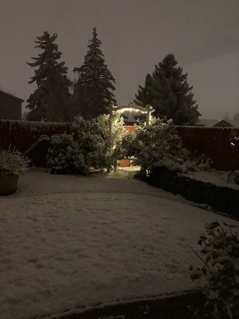 snowy night in Nevada